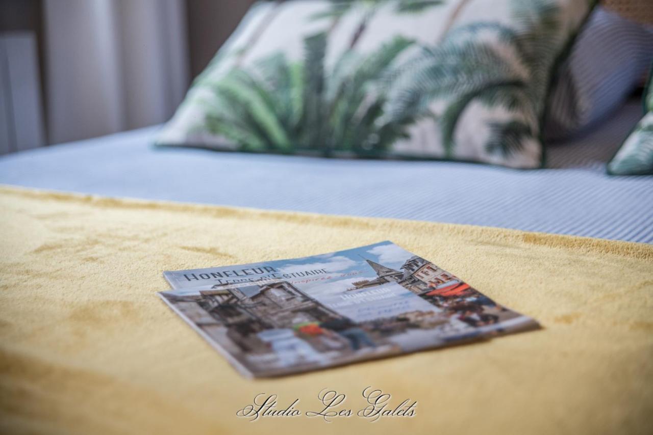La Venelle Du Bassin Apartment Honfleur Ngoại thất bức ảnh